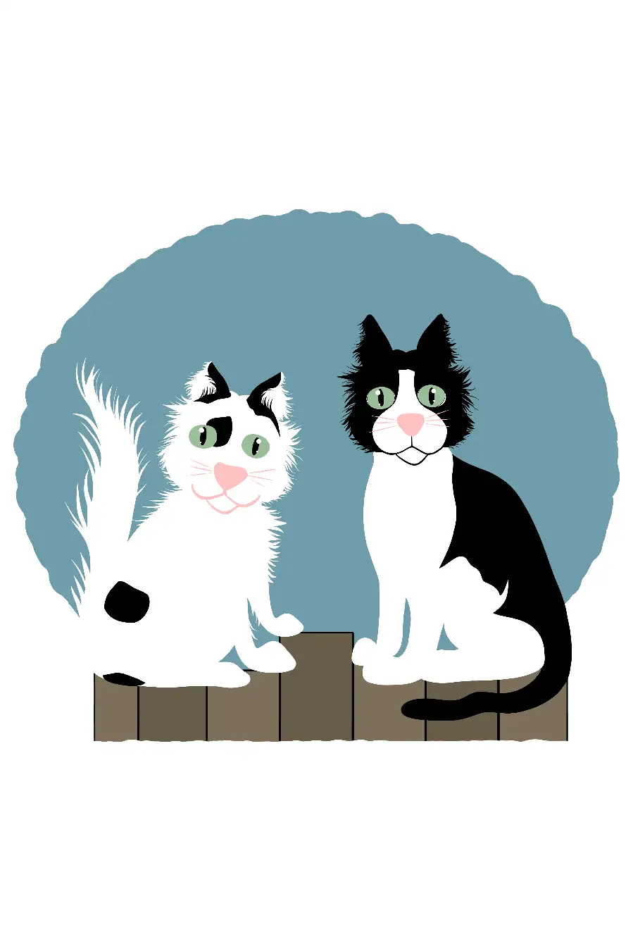 Main Image Supporting the Content of Cher Bear and Sonny Boy